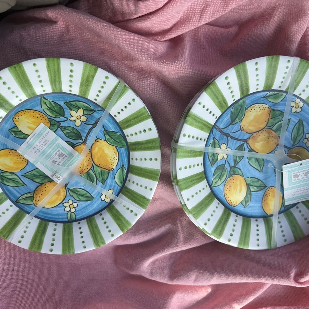 2 Sigrid Olsen Beautiful Set 4-Melamine Salad  Plates  Blue Green Yellow 8.5”